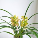 동양스프링 이미지