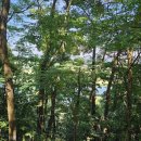 여주길상부동산공인중개사사무소 이미지