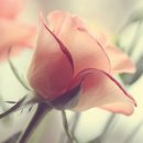 일상의 행복 이미지