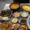 제주시청 근고기 찐 맛집! 현지인 맛집/도민 발길 끊이지 않는 &#34;마초왕갈비&#34;! +새벽까지 영업