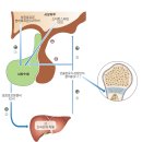 태선생 운동건강연구원(저스트바디짐) 이미지