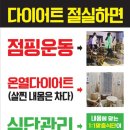 고고핏다이어트 네이버블로그