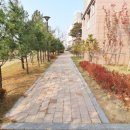 동아공인중개사사무소 이미지