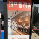 워시테리아전주