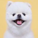 루체테스튜디오 이미지