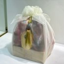 마리산부인과의원 이미지