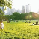 용산-43 티스토리