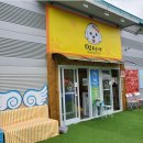 애견카페,애견유치원 멍선생 이미지