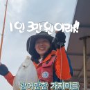 다잡아낚시 이미지