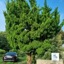 삼달2리마을회관 이미지