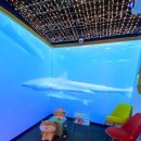 강남-243 이미지