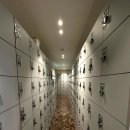 백퍼센트 이미지