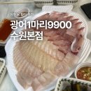 광어9900 | 광어1마리 9900 수원본점 원천동 가성비 횟집
