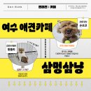 삼멍삼냥 네이버블로그