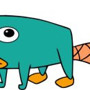 오리너구리
