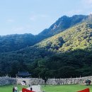 마운틴밸리관광펜션 | 충북 괴산 문경새재 계곡 펜션: 마운틴밸리휴펜션