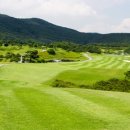 포천아도니스 C.C 이미지