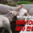 11590-다67 이미지