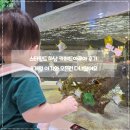와 카 | 스타필드 하남 카페드아쿠아 후기🐠 9개월 아기와 오픈런 다녀왔어요