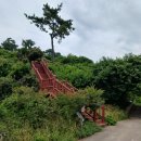 상모리-20 이미지