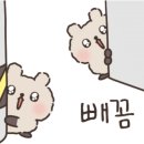 디지털드로잉 맛보기 이미지