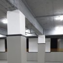 남양주복싱태권도 이미지