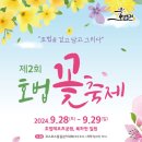 호법 코스모스길 이미지