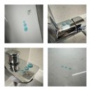 나노네 반려동물 미용 | 창원 나노코팅 셀프로 힘들어요