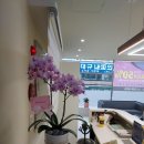 써니헤어샵 네이버블로그