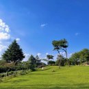 대승골프랜드 | 익산파3 준비물 대승 골프장 퍼블릭 인도어연습장 가격