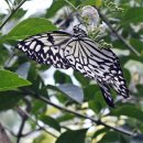 재건농장 이미지