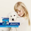 세바코리아 이미지