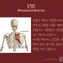 준피티샵 이미지