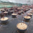 유일농장2 이미지