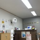 8체질 검사진료 받은 후기