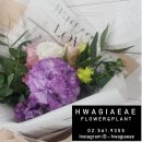 화기애애 플라워&플랜트 이미지