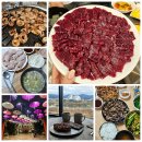 녹향빌라 | 대구여행 2박3일 코스 맛집투어 추천👍