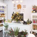 디오레 포메라니안 이미지