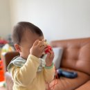 큐티 | 이지드로잉 키즈 카메라 4800만 화소 큐티래빗 내돈내산 구매 후기; 어린이날 선물 추천