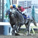 우승목장2 이미지