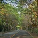 은하수약국 | 청산도 숙소 가족 펜션 여행 꿀팁 약국 정보