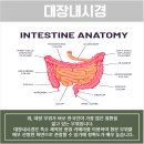 성모바른내과의원 이미지