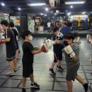 팀베어스복싱짐 이미지