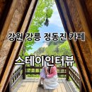 강원 강릉 정동진 오션뷰 카페 - 스테이인터뷰 / 포토존 많음