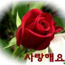 청부독과 이미지