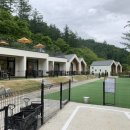 메리도그 이미지