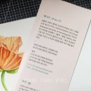 봄맞이 꽃그림 보태니컬 아트 이미지