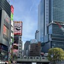 건지사거리 횡단보도 앞 | [도쿄] 나 홀로 도쿄 여행 3일차 - 시부야 쇼핑, 도쿄도청 카운트다운