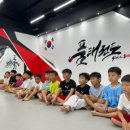 보령 품태권도 이미지