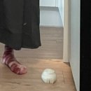 다정의 실체